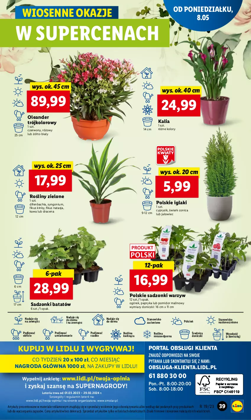 Gazetka promocyjna Lidl - GAZETKA - ważna 08.05 do 10.05.2023 - strona 43 - produkty: Chia, Cień, Cyprysik, Gry, Kawa, Mola, NBA, O nas, Ogórek, Papryka, Pomidor malinowy, Por, Sok