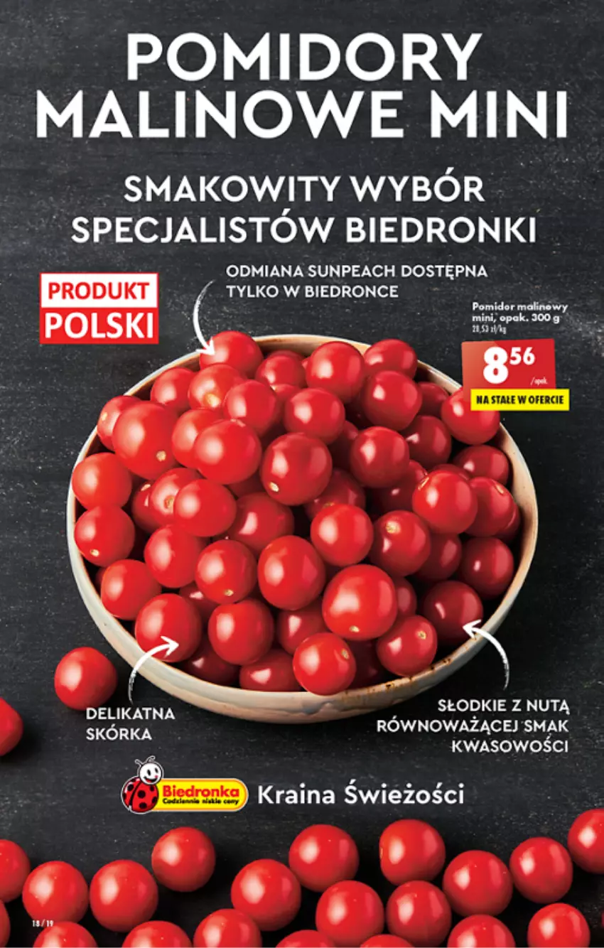 Gazetka promocyjna Biedronka - ważna 02.06 do 08.06.2022 - strona 18 - produkty: Dron