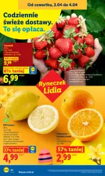 Gazetka promocyjna Lidl - Gazetka ważna od 2.04 do 4.04 - Gazetka - ważna od 04.04 do 04.04.2026 - strona 24 - produkty: Ser, Truskawki, Cytryny, Pomarańcze, Deser, Olej