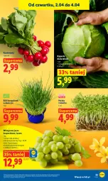 Gazetka promocyjna Lidl - Gazetka ważna od 2.04 do 4.04 - Gazetka - ważna od 04.04 do 04.04.2026 - strona 25 - produkty: Rzeżucha, Winogrona, Wino