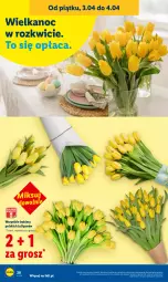 Gazetka promocyjna Lidl - Gazetka ważna od 2.04 do 4.04 - Gazetka - ważna od 04.04 do 04.04.2026 - strona 28 - produkty: Tulipan, Bukiet