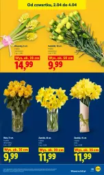 Gazetka promocyjna Lidl - Gazetka ważna od 2.04 do 4.04 - Gazetka - ważna od 04.04 do 04.04.2026 - strona 29 - produkty: Hiacynt, Bukiet