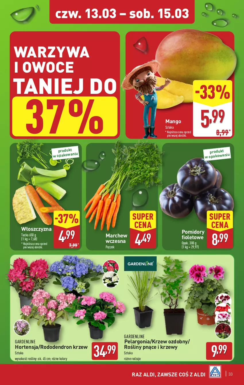 Gazetka promocyjna Aldi - Pełna oferta - ważna 10.03 do 15.03.2025 - strona 33 - produkty: Dron, Mango, Owoce, Pomidory, Sok, Warzywa, Warzywa i owoce