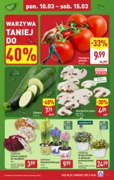 Gazetka promocyjna Aldi - Pełna oferta - Gazetka - ważna od 15.03 do 15.03.2025 - strona 3 - produkty: Piec, Cebula, Warzywa, Sok, Hiacynt, O nas, Narcyz, Pieczarki krojone, Pomidory