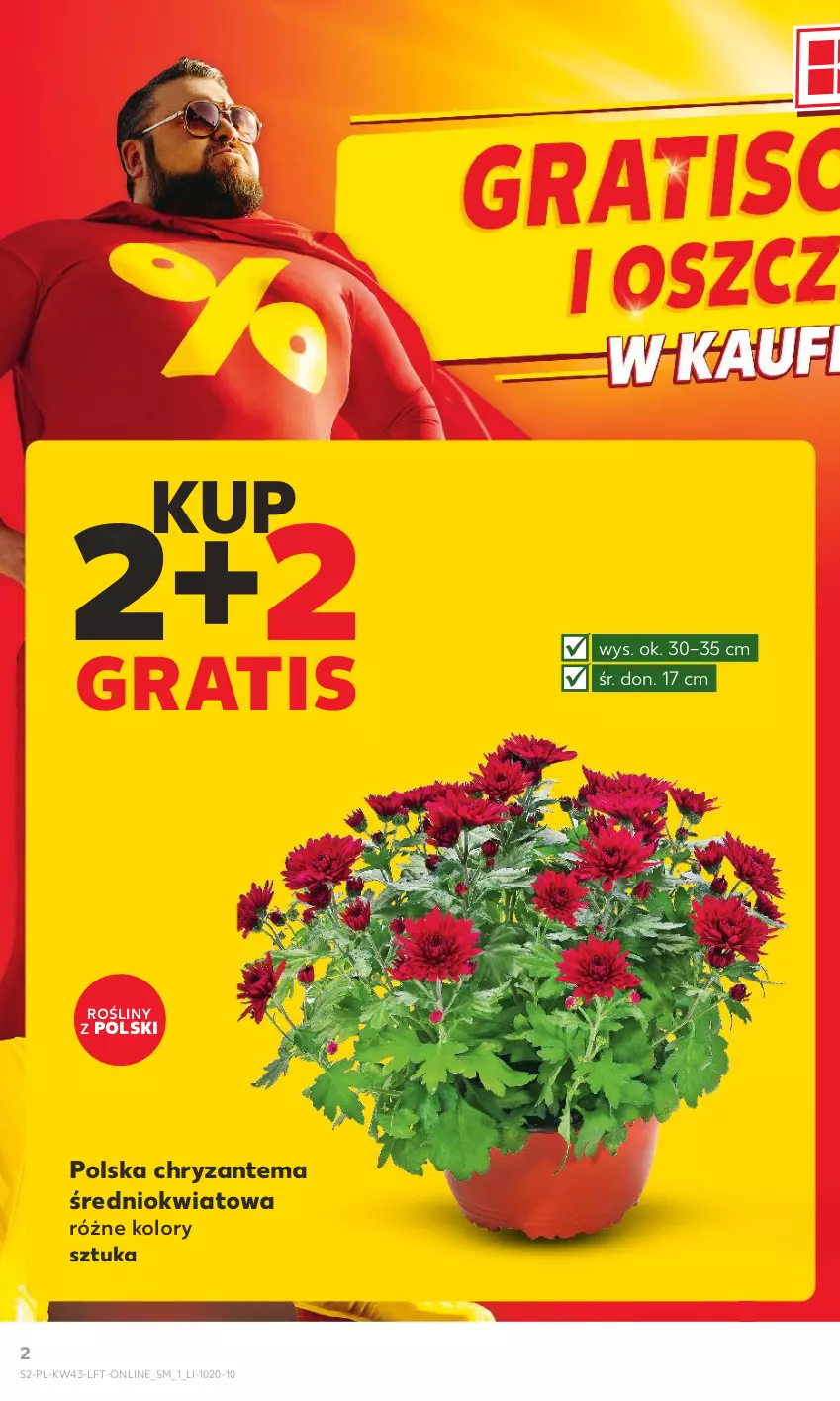 Gazetka promocyjna Kaufland - Gazetka tygodnia - ważna 26.10 do 31.10.2023 - strona 2 - produkty: Chryzantema, Gra