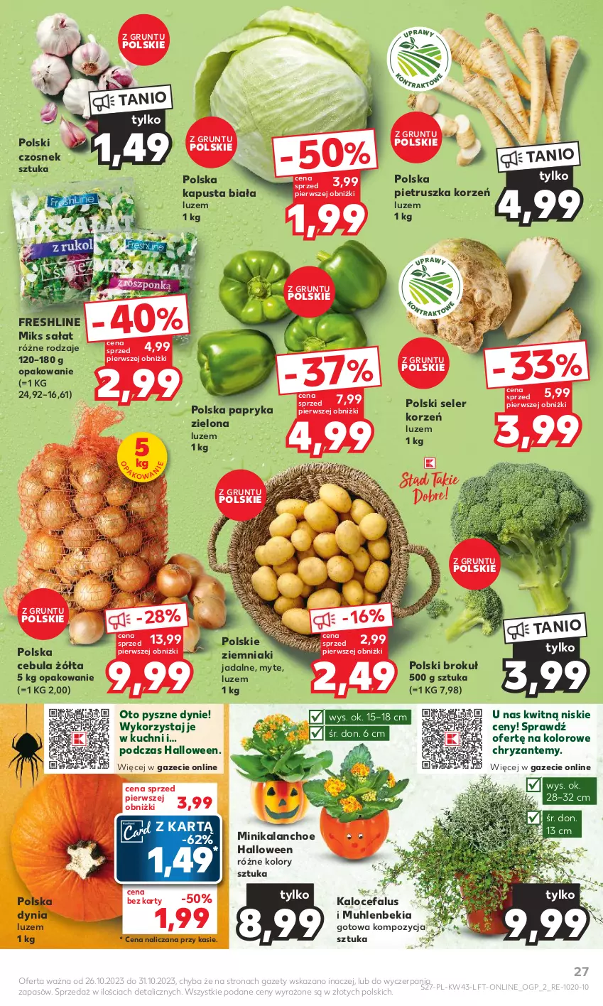 Gazetka promocyjna Kaufland - Gazetka tygodnia - ważna 26.10 do 31.10.2023 - strona 27 - produkty: Cebula, Czosnek, Fa, Grunt, Kalanchoe, Papryka, Pietruszka, Sałat, Seler korzeń, Ziemniaki