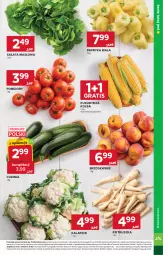 Gazetka promocyjna Stokrotka - Market - Gazetka - ważna od 29.07 do 29.07.2026 - strona 15 - produkty: Kalafior, Warzywa, Gra, Sałata masłowa, Pietruszka, Papryka, Papryka biała, Sałat, Optima, Brzoskwinie, Owoce, Masło, Pomidory, Mięso, Kukurydza