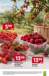 Gazetka promocyjna Stokrotka - Market - Gazetka - ważna od 29.07 do 29.07.2026 - strona 17 - produkty: Warzywa, Truskawki, Maliny, Owoce, Mięso