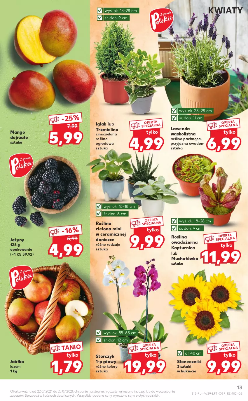 Gazetka promocyjna Kaufland - OFERTA TYGODNIA - ważna 22.07 do 28.07.2021 - strona 13 - produkty: Jabłka, Jeżyny, Mango, Storczyk