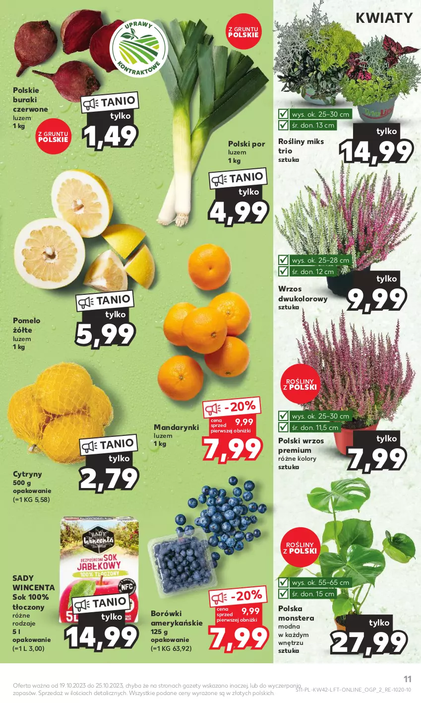 Gazetka promocyjna Kaufland - Gazetka tygodnia - ważna 19.10 do 25.10.2023 - strona 11 - produkty: Buraki, Cytryny, Grunt, Mandarynki, Pomelo, Por, Sok, Tera