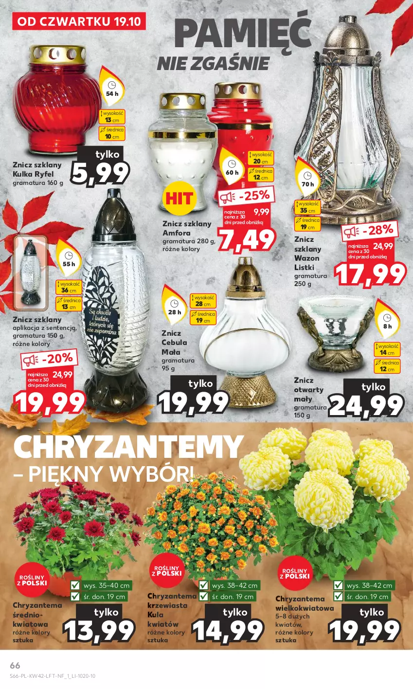 Gazetka promocyjna Kaufland - Gazetka tygodnia - ważna 19.10 do 25.10.2023 - strona 66 - produkty: Cebula, Chryzantema, Gra, Rama, Sok, Wazon, Znicz