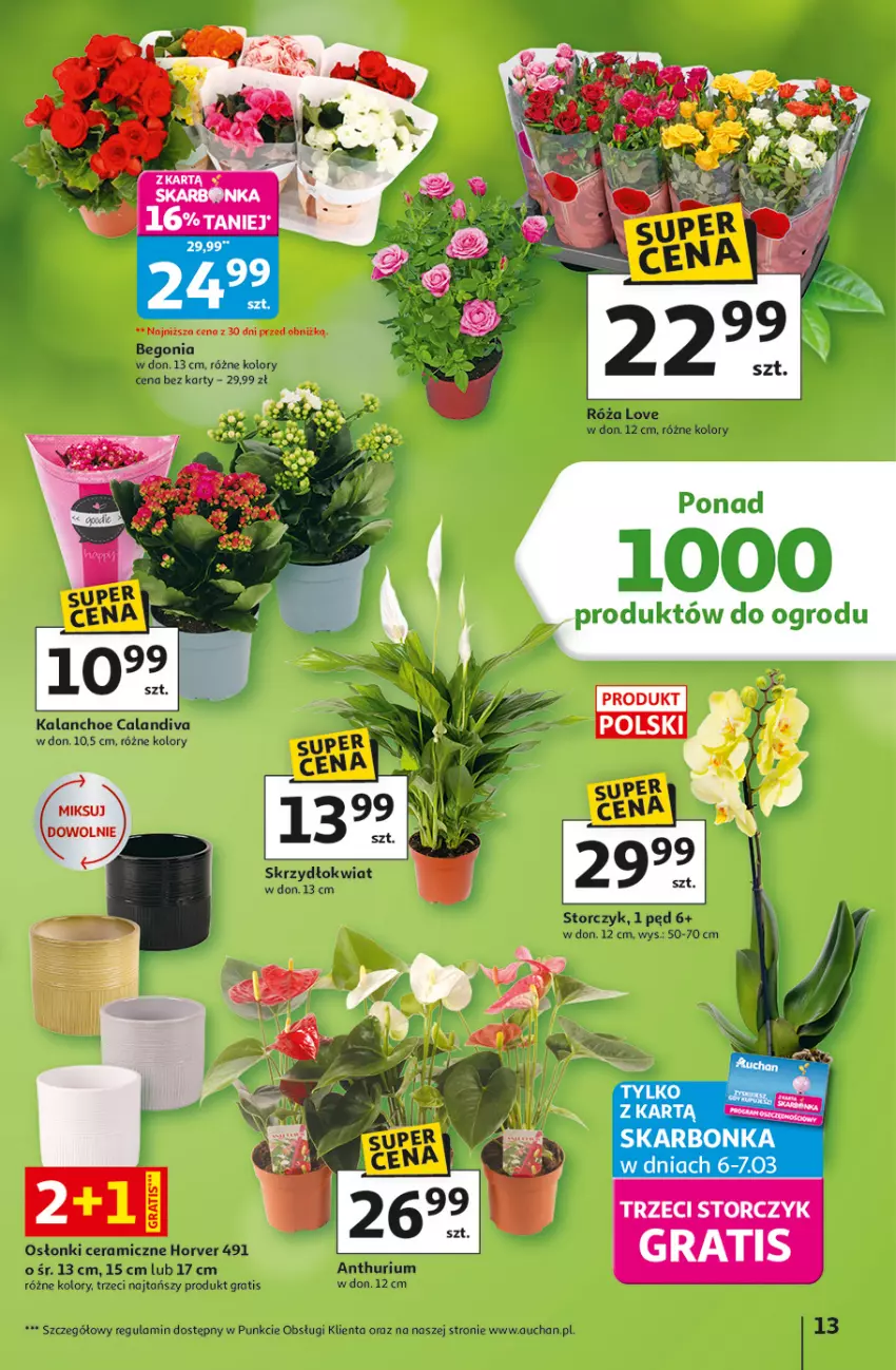Gazetka promocyjna Auchan - Gazetka 30 Lat Hipermarket Auchan - ważna 05.03 do 11.03.2026 - strona 13 - produkty: Gra, Kalanchoe, Róża, Storczyk