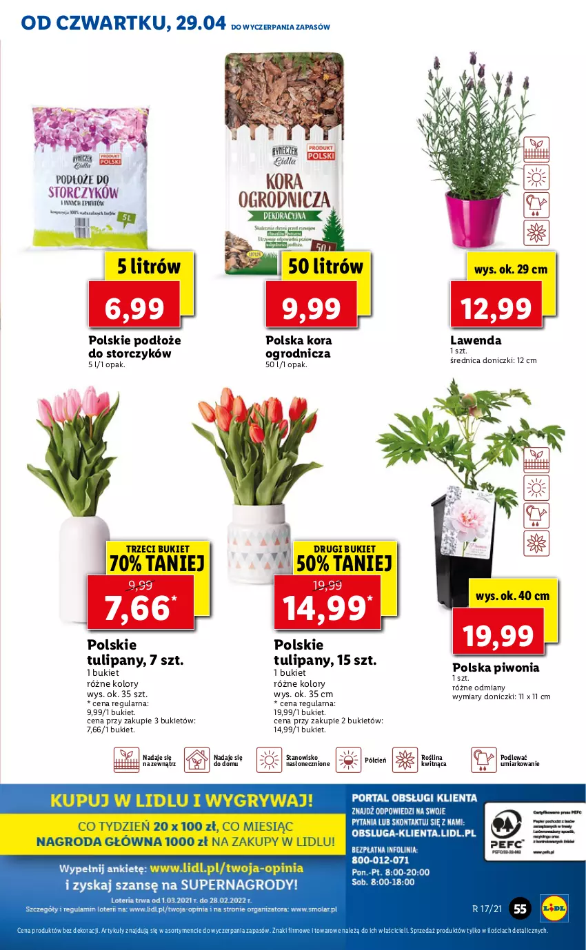 Gazetka promocyjna Lidl - GAZETKA - ważna 29.04 do 30.04.2021 - strona 55 - produkty: Bukiet, Cień, O nas, Piwo, Storczyk, Tulipan