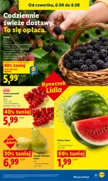 Gazetka promocyjna Lidl - Gazetka ważna od 6.08 do 8.08 - Gazetka - ważna od 08.08 do 08.08.2026 - strona 43 - produkty: Por, Jeżyny, Porzeczki czerwone, Gruszki, Arbuz