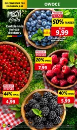 Gazetka promocyjna Lidl - GAZETKA - Gazetka - ważna od 09.08 do 09.08.2025 - strona 20 - produkty: Por, Jeżyny, Porzeczki czerwone, Maliny, Owoce