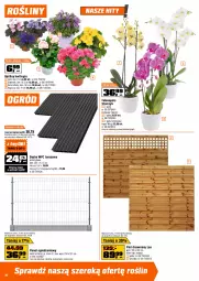 Gazetka promocyjna Obi - Gazetka OBI - Gazetka - ważna od 10.03 do 10.03.2026 - strona 14 - produkty: Gra, Róża, Dzwonek, Kosz, Storczyk, Tunel, Ogród, Fa