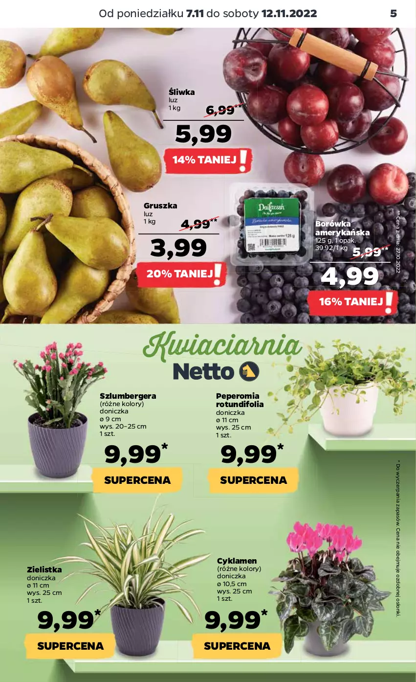 Gazetka promocyjna Netto - Artykuły spożywcze - ważna 07.11 do 12.11.2022 - strona 5 - produkty: Borówka, Borówka amerykańska, Cyklamen, Szlumbergera