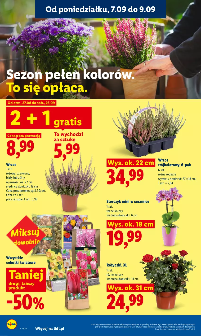 Gazetka promocyjna Lidl - Gazetka ważna od 7.09 do 9.09 - ważna 07.09 do 09.09.2026 - strona 82 - produkty: Gra, Sok, Storczyk