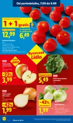 Gazetka promocyjna Lidl - Gazetka ważna od 7.09 do 9.09 - Gazetka - ważna od 09.09 do 09.09.2026 - strona 32 - produkty: Cebula, Gra, Sałata masłowa, Sałat, Masło, Pomidory, Jabłka