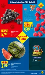 Gazetka promocyjna Lidl - Gazetka ważna od 7.09 do 9.09 - Gazetka - ważna od 09.09 do 09.09.2026 - strona 35 - produkty: Ser, Maliny, Winogrona, Arbuz, Wino