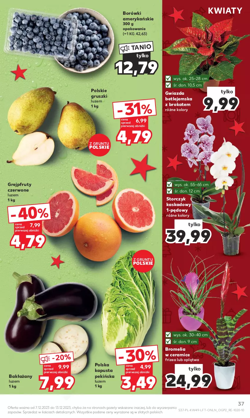 Gazetka promocyjna Kaufland - Gazetka tygodnia - ważna 07.12 do 13.12.2023 - strona 37 - produkty: Bromelia, Grejpfrut, Grunt, Gruszki, Gwiazda, Kask, Storczyk