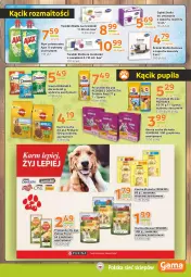 Gazetka promocyjna Gama - Gazetka Gama - Gazetka - ważna od 09.07 do 09.07.2024 - strona 9 - produkty: Pur, Gra, Ajax, Whiskas, Friskies, Purina, Pedigree, Przysmak dla psa