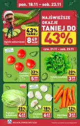 Gazetka promocyjna Aldi - Farmer ALDIK poleca świeże owoce i warzywa - Gazetka - ważna od 23.11 do 23.11.2024 - strona 2 - produkty: Sałata masłowa, Czosnek, Sałat, Masło, Pomidory