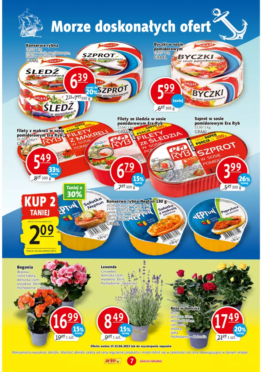 Gazetka promocyjna Prim Market - ważna 17.06 do 22.06.2022 - strona 7 - produkty: Era Ryb, Gra, Graal, Papryka, Sałat, Sałatka, Ser, Sok, Sos, Szprot, Szprot w sosie