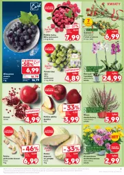 Gazetka promocyjna Kaufland - Gazetka tygodnia - Gazetka - ważna od 25.09 do 25.09.2024 - strona 9 - produkty: Gra, Pietruszka, Chryzantema, Granat, Kiwi, Storczyk, Maliny, Winogrona, Wino, Grunt, Jabłka