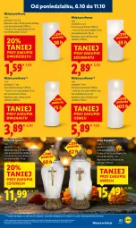 Gazetka promocyjna Lidl - GAZETKA - Gazetka - ważna od 08.10 do 08.10.2025 - strona 65 - produkty: Sok, Znicz