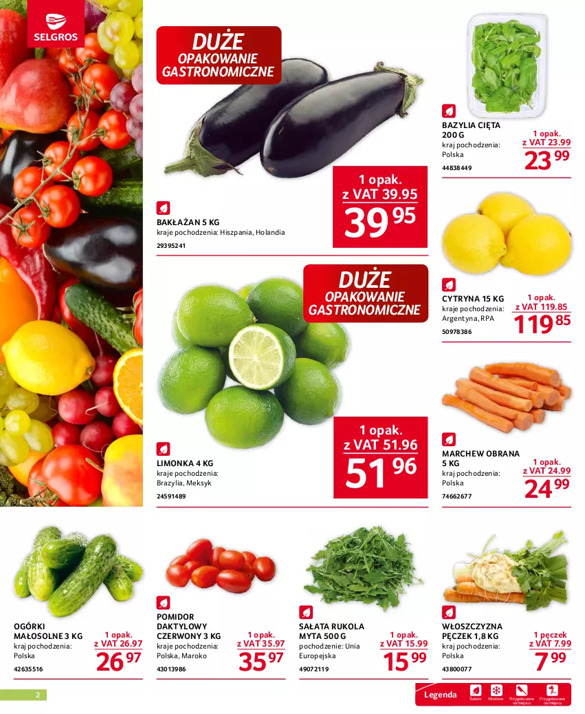 Gazetka promocyjna Selgros - Oferta gastronomiczna - ważna 01.06 do 14.06.2023 - strona 2 - produkty: Bazyl, Bazylia, Limonka, Rukola, Sałat, Włoszczyzna pęczek