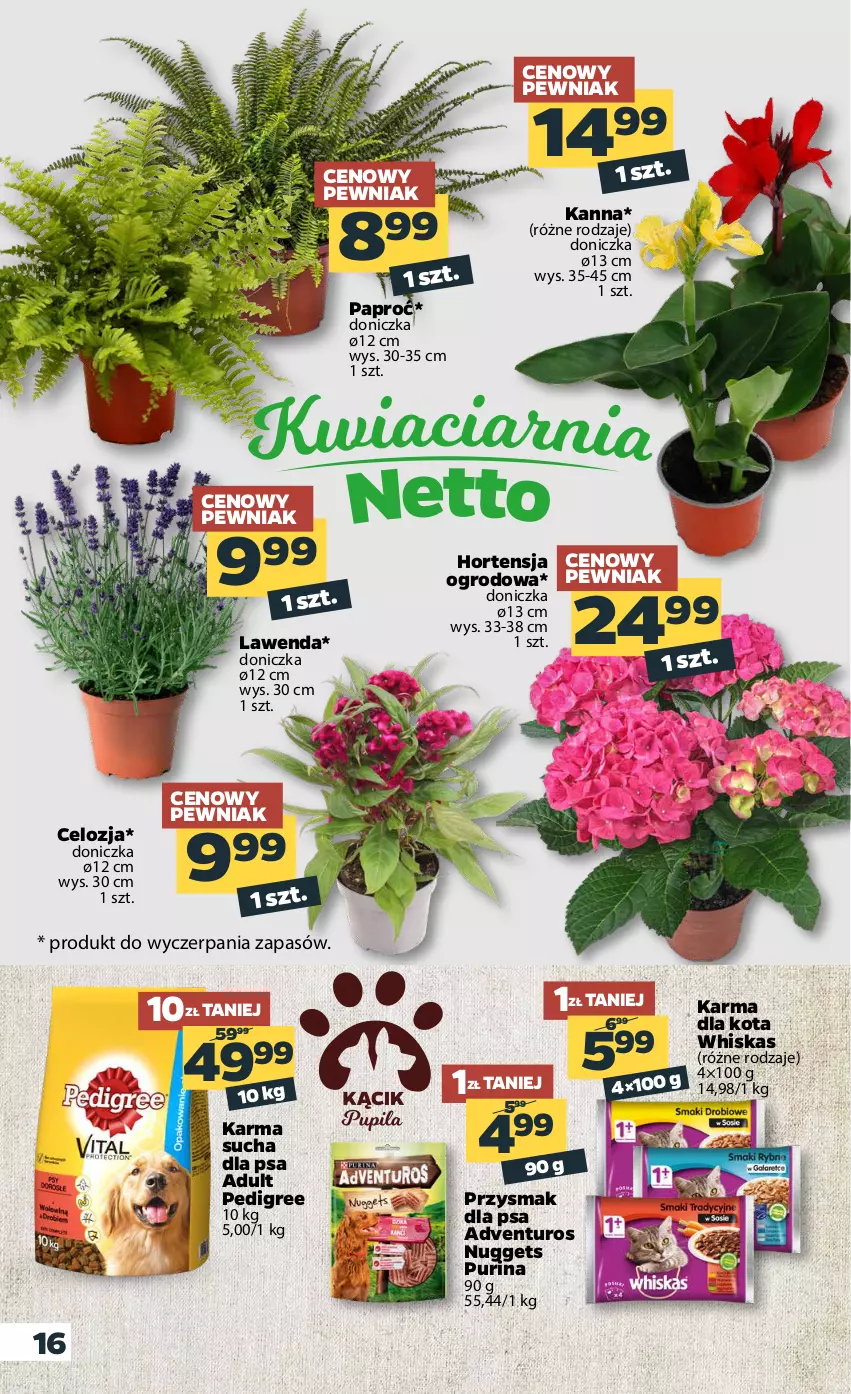 Gazetka promocyjna Netto - Gazetka spożywcza - ważna 14.06 do 19.06.2021 - strona 16 - produkty: Adventuros, Pedigree, Przysmak dla psa, Pur, Purina, Whiskas