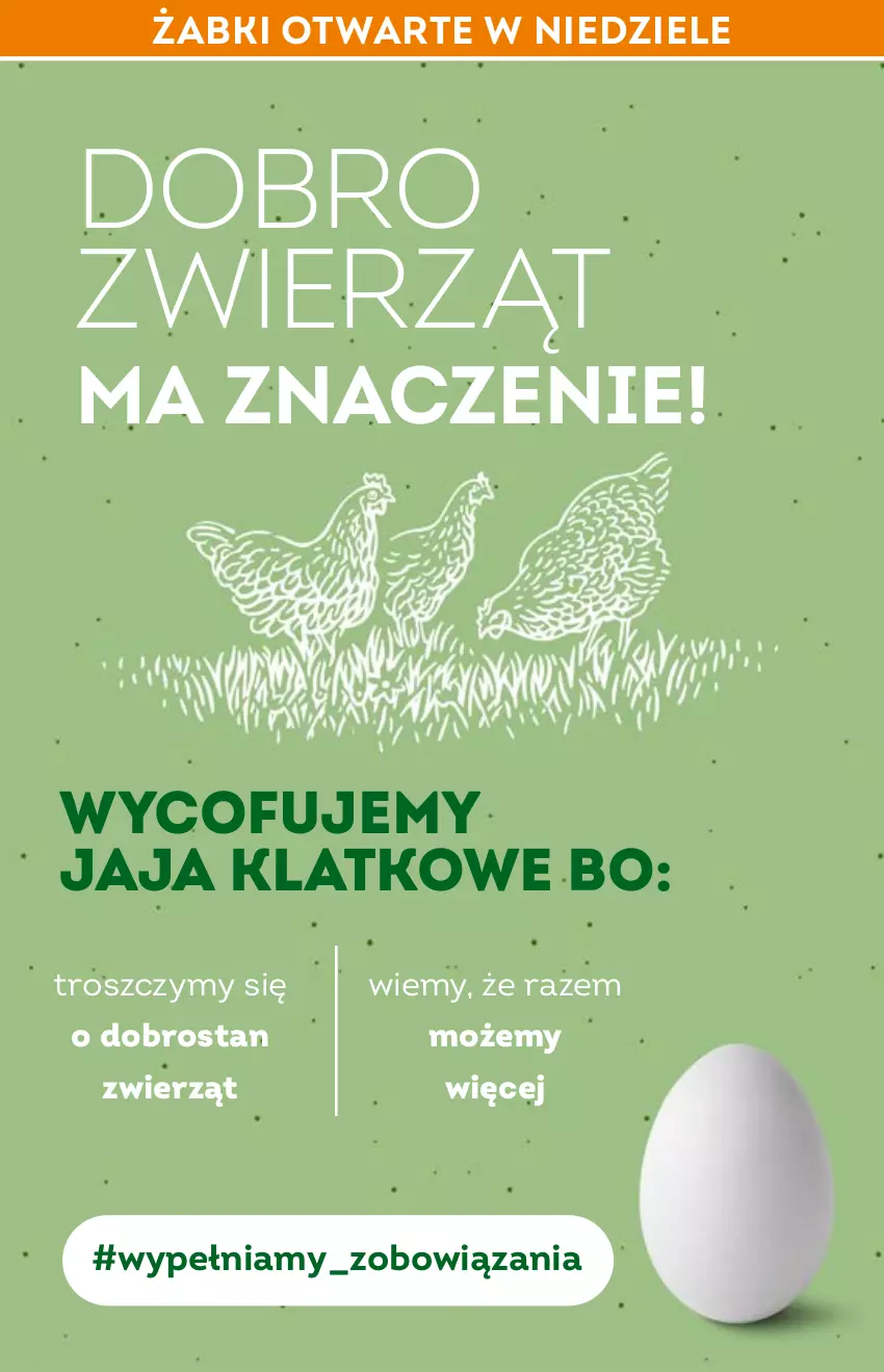 Gazetka promocyjna Żabka - ważna 30.03 do 12.04.2022 - strona 50 - produkty: Jaja