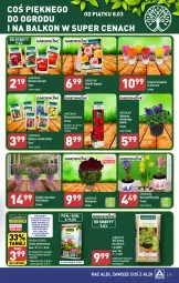 Gazetka promocyjna Aldi - Pełna oferta - Gazetka - ważna od 09.03 do 09.03.2024 - strona 29 - produkty: Hiacynt, Tulipan, Róża, Narcyz, Fa