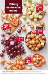 Gazetka promocyjna Stokrotka - Supermarket - Gazetka - ważna od 11.10 do 11.10.2023 - strona 8 - produkty: Cebula czerwona, Cebula, Warzywa, Cebula szalotka, Szal, Owoce, Mięso