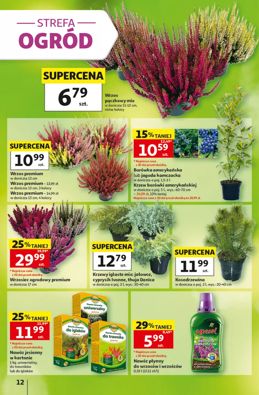 Gazetka promocyjna Auchan - Gazetka 30 Lat Hipermarket Auchan - ważna 10.09 do 16.09.2026 - strona 12 - produkty: Borówka, Borówka amerykańska, Cyprysik, Fa, Nawóz, Ogród