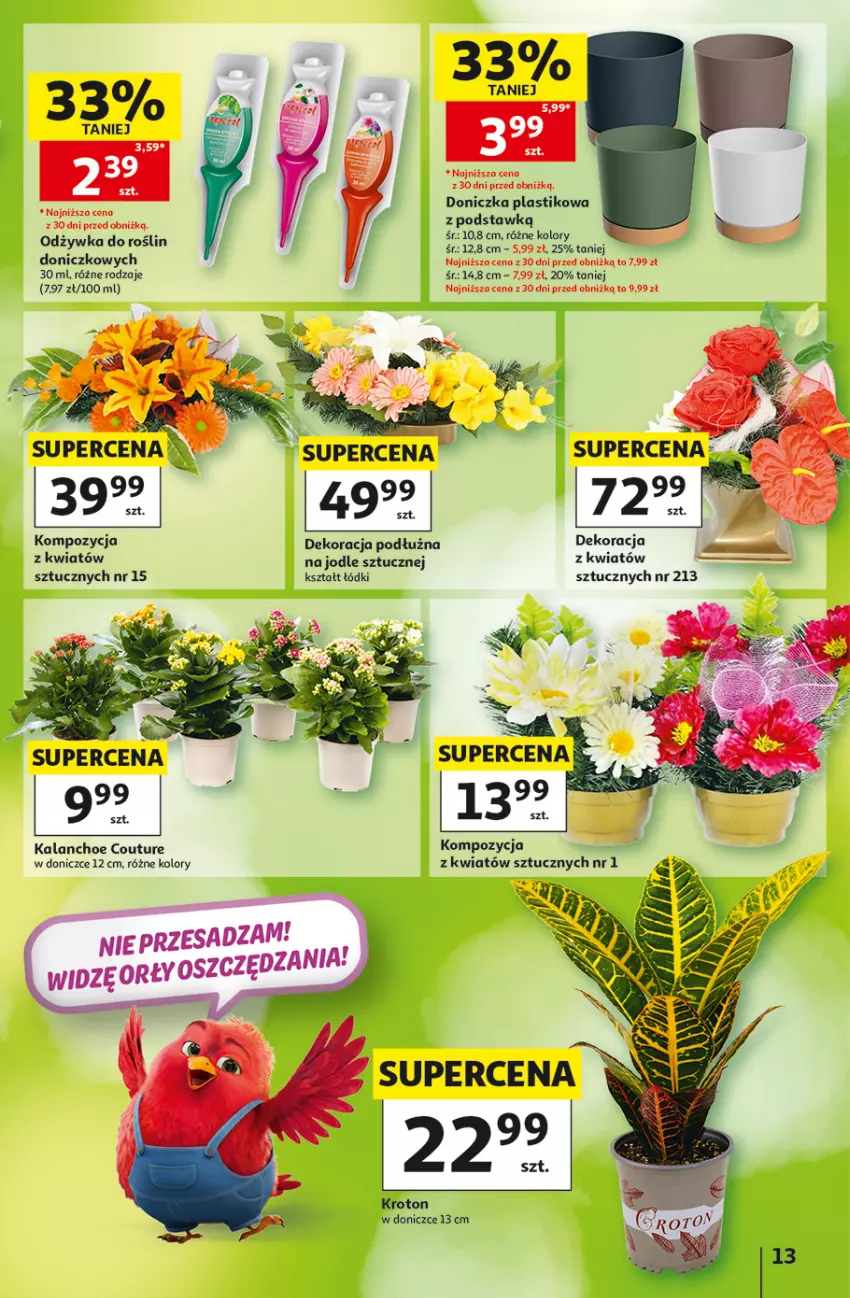 Gazetka promocyjna Auchan - Gazetka 30 Lat Hipermarket Auchan - ważna 10.09 do 16.09.2026 - strona 13 - produkty: Kalanchoe