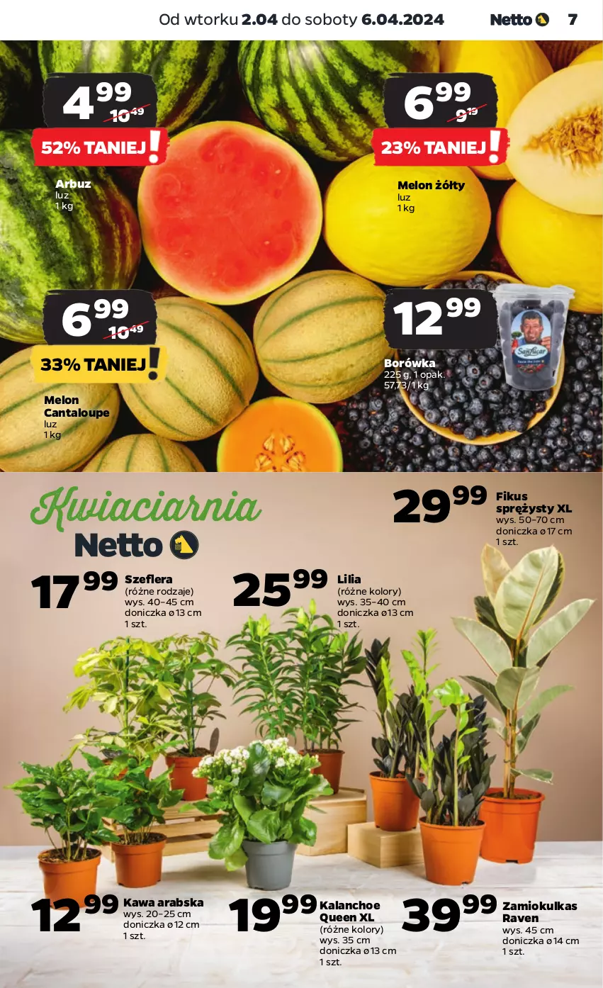 Gazetka promocyjna Netto - Artykuły spożywcze - ważna 02.04 do 06.04.2024 - strona 7 - produkty: Arbuz, Borówka, Kalanchoe, Kawa, Melon