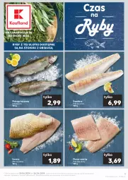 Gazetka promocyjna Kaufland - Czas na ryby - Gazetka - ważna od 26.06 do 26.06.2024 - strona 1 - produkty: Pstrąg tęczowy, Sandacz filet, Pstrąg, Dorsz, Sandacz