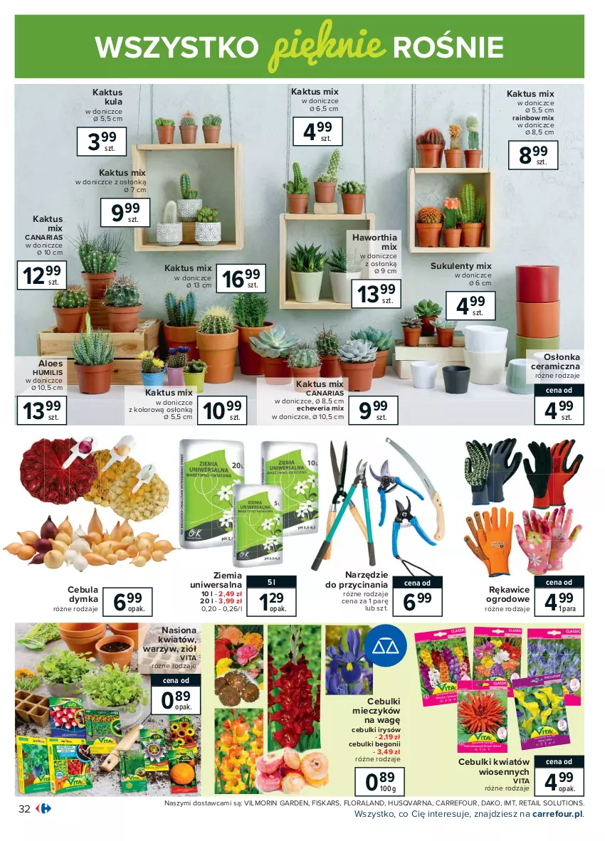 Gazetka promocyjna Carrefour - Gazetka Carrefour - ważna 15.02 do 27.02.2021 - strona 32 - produkty: Cebula, Fiskars, Flora, Kaktus, Miecz, Osłonka, Rękawice, Sukulent