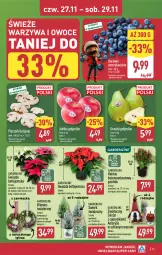 Gazetka promocyjna Aldi - Pełna oferta - Gazetka - ważna od 29.11 do 29.11.2025 - strona 31 - produkty: Piec, Warzywa, Sok, Cyprysik, Kaktus, Amarylis, Warzywa i owoce, Gwiazda, Wieniec, Wazon, Gruszki, Pieczarki krojone, Owoce, Skrzat, Jabłka