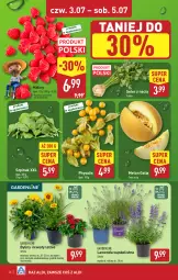 Gazetka promocyjna Aldi - Pełna oferta - Gazetka - ważna od 05.07 do 05.07.2025 - strona 26 - produkty: Sok, Koc, Maliny, Melon, Szpinak