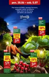 Gazetka promocyjna Aldi - Pełna oferta - Gazetka - ważna od 05.07 do 05.07.2025 - strona 5 - produkty: Buraki