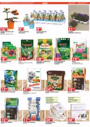 Gazetka promocyjna Merkury Market - Gazetka - ważna od 31.03 do 31.03.2023 - strona 48 - produkty: Campanula, Mus, Gra, Woreczek, Dzwonek, Dron, Groch, Nawóz, Kokos, Fa