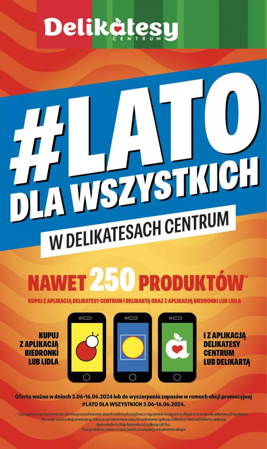 Gazetka promocyjna Delikatesy Centrum - #LATO DLA WSZYSTKICH w Delikatesach Centrum od 3 czerwca! 3-16.06.2024 - ważna 03.06 do 16.06.2024 - strona 1 - produkty: Dron, Kret, Rama, Rum