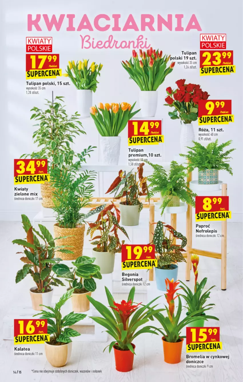 Gazetka promocyjna Biedronka - W tym tygodniu - ważna 24.02 do 02.03.2022 - strona 14 - produkty: Bromelia, Cynk, Róża, Sok, Tulipan, Wazon