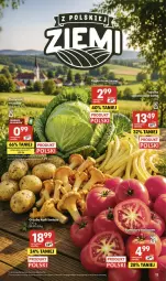 Gazetka promocyjna Delikatesy Centrum - Franczyza DC29 Czwartek - Gazetka - ważna od 22.07 do 22.07.2026 - strona 13 - produkty: Grzyby, Ziemniaki, Pomidory, LG, Fa