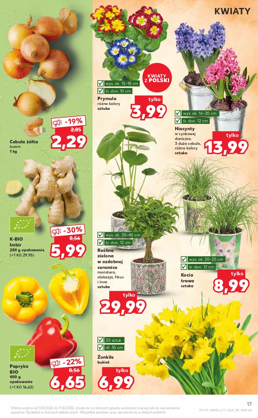 Gazetka promocyjna Kaufland - OFERTA TYGODNIA - ważna 03.02 do 09.02.2022 - strona 17 - produkty: Bukiet, Cebula, Cynk, Hiacynt, Imbir, Koc, Kocia trawa, Papryka, Prymula, Tera