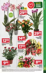 Gazetka promocyjna Stokrotka - Market - Gazetka - ważna od 28.05 do 28.05.2024 - strona 9 - produkty: Kurkuma, Warzywa, Tulipan, Róża, Kwiaty cięte, Storczyk, Bukiet, Owoce, Mięso