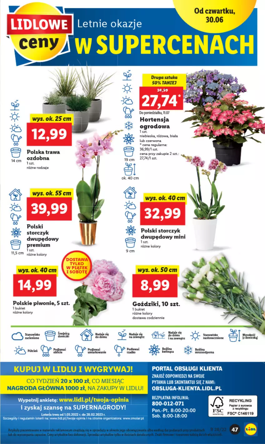 Gazetka promocyjna Lidl - GAZETKA - ważna 30.06 do 02.07.2022 - strona 47 - produkty: Bukiet, Gry, Mola, Piwo, Por, Sok, Storczyk